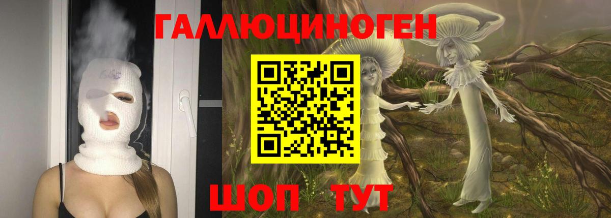 Псилоцибиновые грибы ЛСД  Псилоцибиновые грибы ЛСД  Вход с VPN  Новокуйбышевск 
